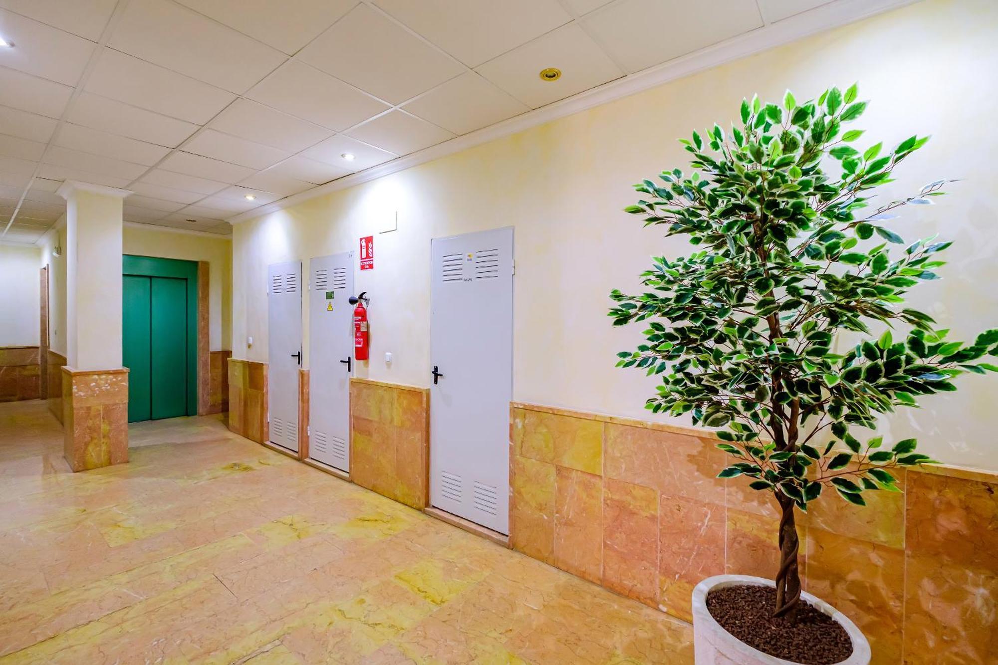 Deluxe Apartment Playa Del Cura Τορεβιέχα Εξωτερικό φωτογραφία
